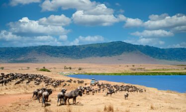 6 Day Trip Safari