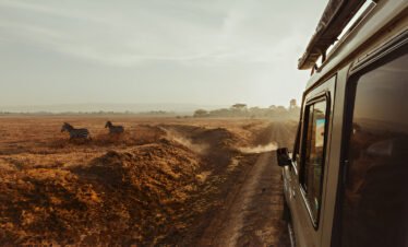 7 Days Trip Safari