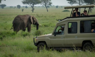4 Day Trip Safari